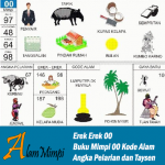 Erek Erek 00 | Buku Mimpi 00 Kode Alam Pelarian dan Taysen