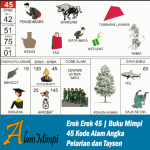 Erek Erek 45 | Buku Mimpi 45 Kode Alam Pelarian dan Taysen